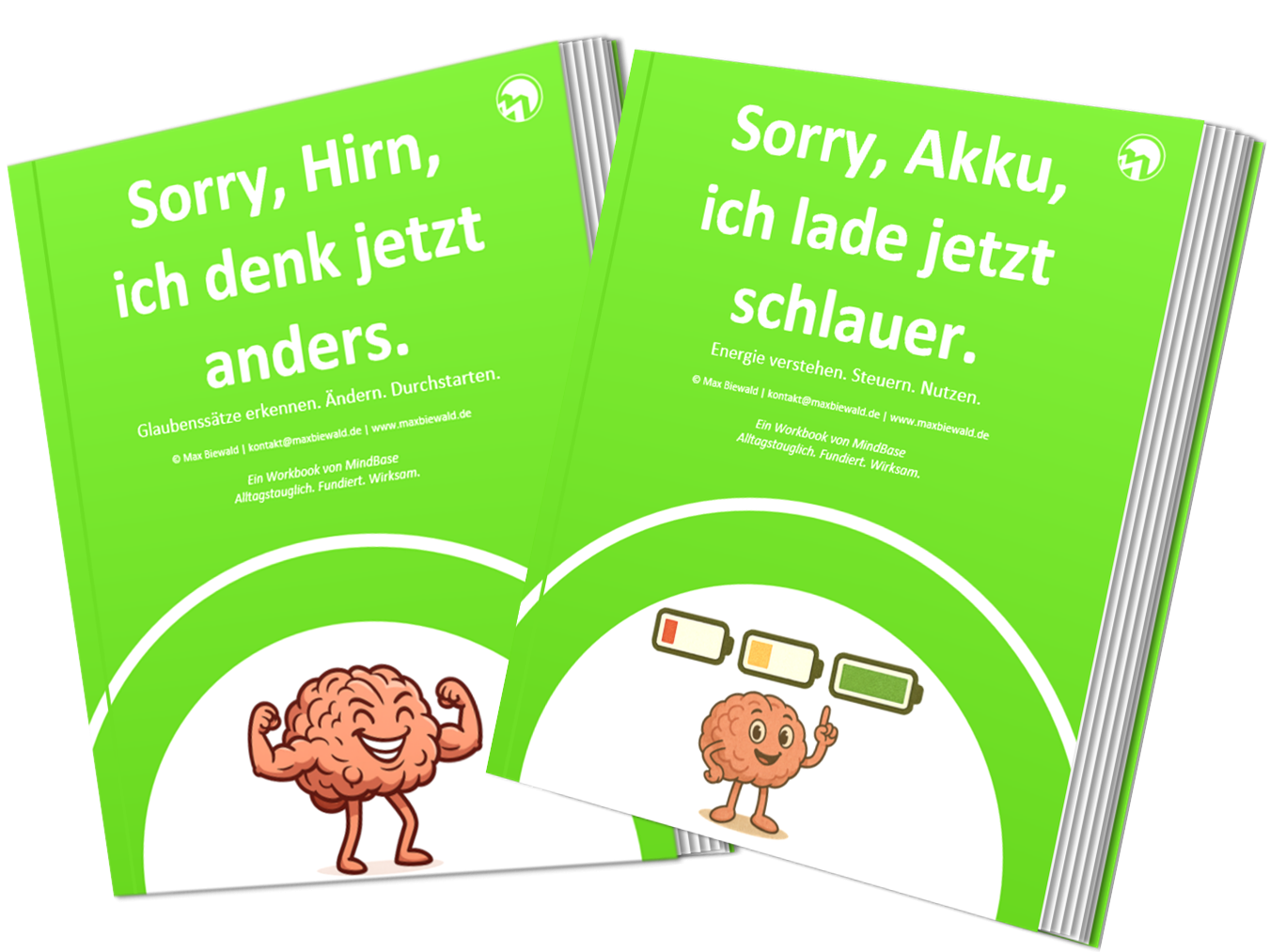 Glaubenssätze ändern, Energiemanagement, Stressmanagement, Resilienztraining Workbooks zu Stress und Resilienz
