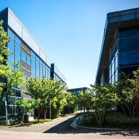 Zugang für dein Unternehmen Max Biewald, Stressmanagement im Alltag, Resilienz Selbstständig, MindBase, Stressmanagment, Resilienz, Alltag, Key-Notes Stress